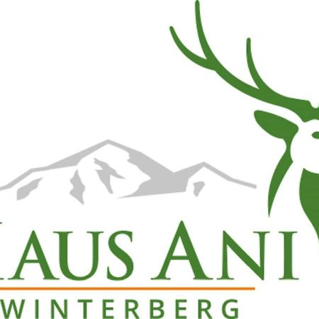 Haus Ani Winterberg Villa Exterior photo
