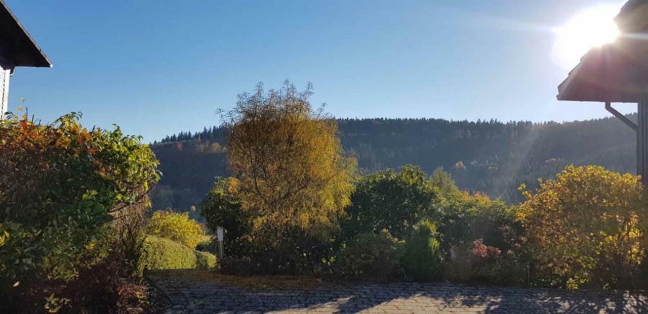 Haus Ani Winterberg Villa Exterior photo